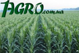 1agro.com.ua