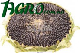 1agro.com.ua