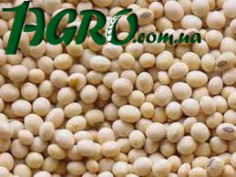 1agro.com.ua