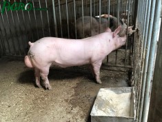 1agro.com.ua