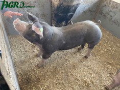 1agro.com.ua