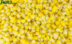 1agro.com.ua
