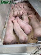 1agro.com.ua