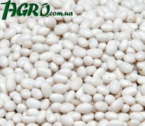 1agro.com.ua