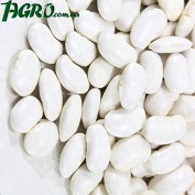 1agro.com.ua
