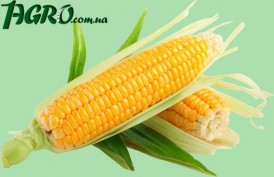 1agro.com.ua