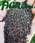 1agro.com.ua