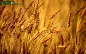 1agro.com.ua