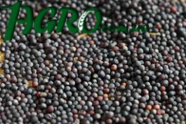 1agro.com.ua