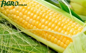 1agro.com.ua