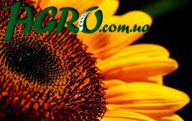1agro.com.ua