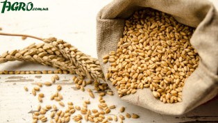 1agro.com.ua