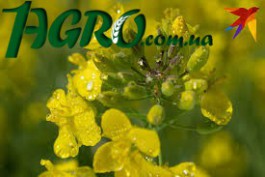 1agro.com.ua