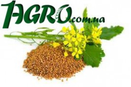 1agro.com.ua