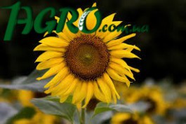 1agro.com.ua