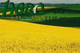 1agro.com.ua