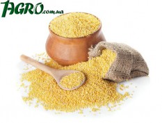 1agro.com.ua
