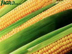 1agro.com.ua