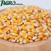 1agro.com.ua