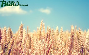 1agro.com.ua