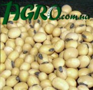 1agro.com.ua