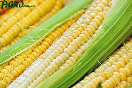 1agro.com.ua