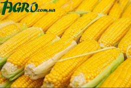 1agro.com.ua