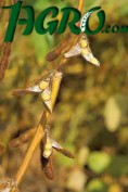 1agro.com.ua