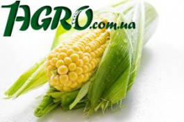 1agro.com.ua