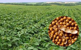 1agro.com.ua