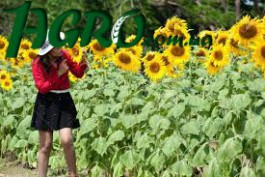 1agro.com.ua