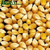 1agro.com.ua
