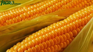1agro.com.ua