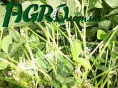 1agro.com.ua