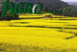 1agro.com.ua