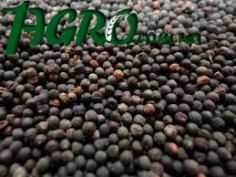 1agro.com.ua