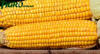 1agro.com.ua