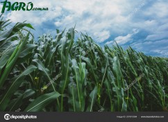1agro.com.ua