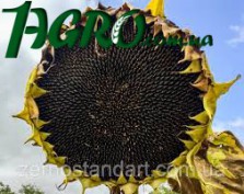1agro.com.ua
