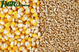 1agro.com.ua