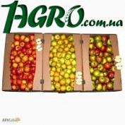 1agro.com.ua
