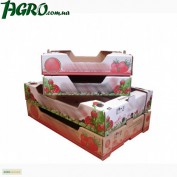 1agro.com.ua