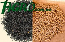 1agro.com.ua