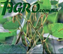 1agro.com.ua