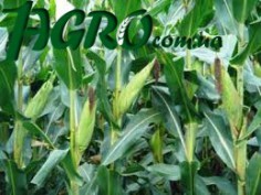 1agro.com.ua