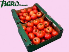 1agro.com.ua