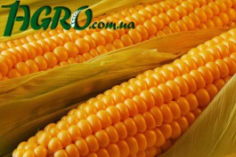 1agro.com.ua