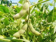 1agro.com.ua