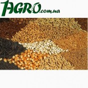 1agro.com.ua
