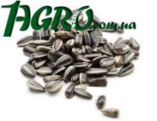 1agro.com.ua